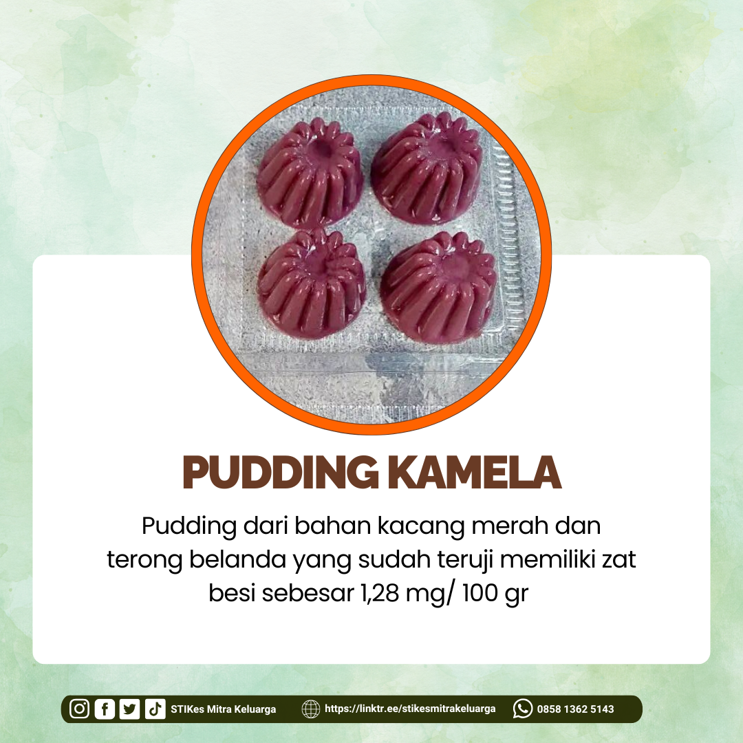 PUDDING KAMELA